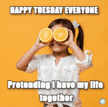 Happy Tuesday meme HAPPY TUESDAY EVERYONE - Pretending I have my life together