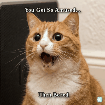 Amazed meme You Get So Amused... 









Then Bored