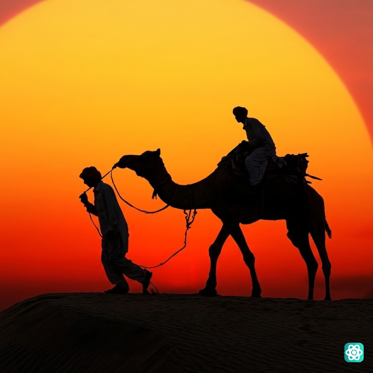 Hump Day