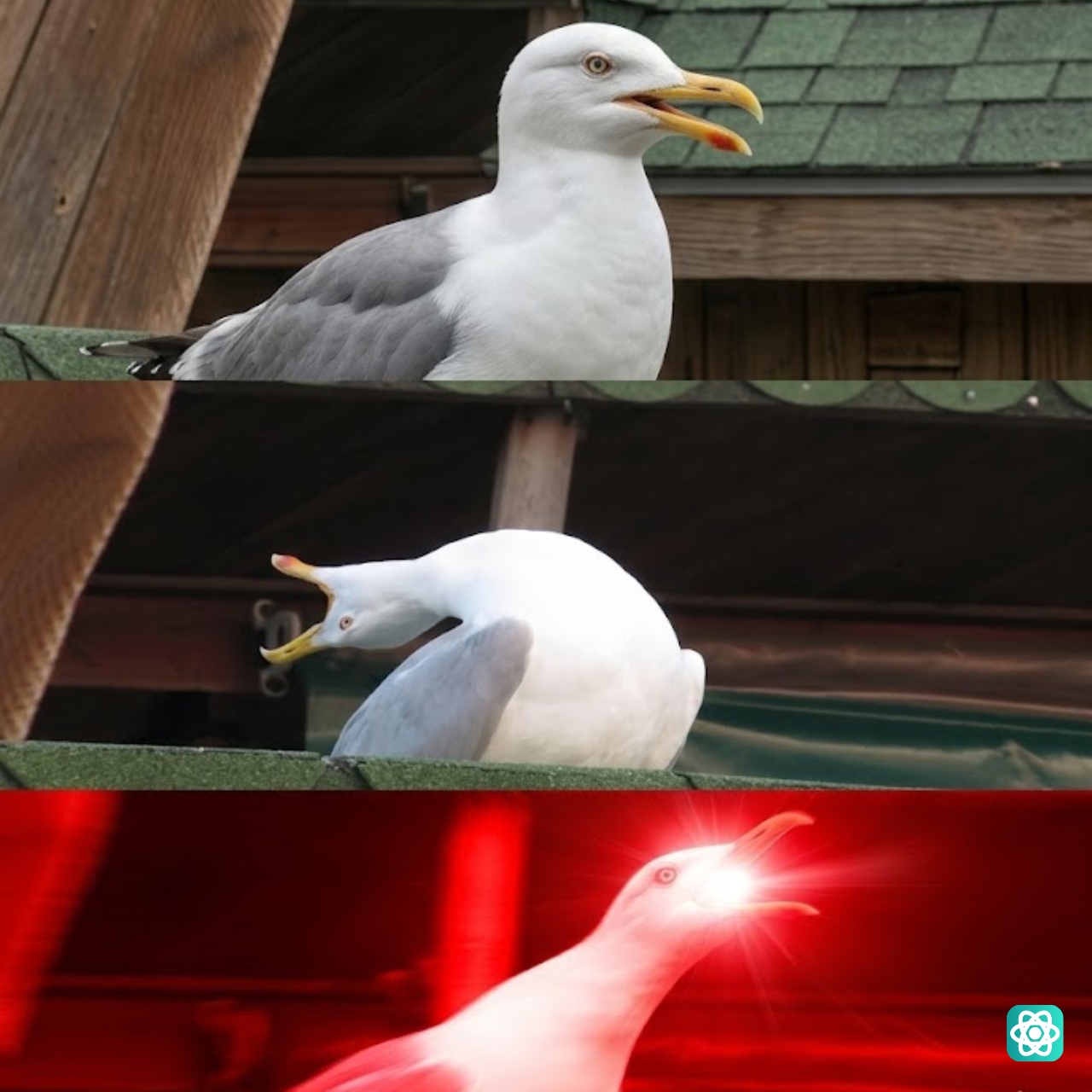 Inhaling Seagull