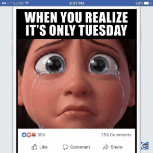 Funny crying meme GIF in HD quality with dramatic emotional expression