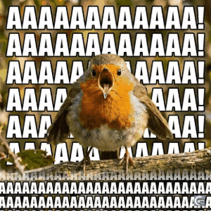 Aaaaaaaa meme GIF expressing chaos, confusion, and relatable panic reaction in HD quality