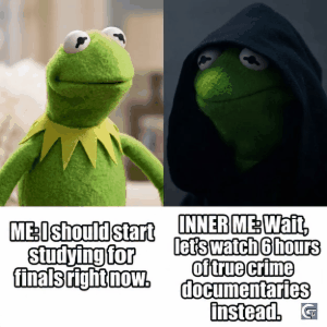 Funny Kermit meme GIFs and 8K images featuring classic Kermit the Frog reaction memes perfect for profile pictures and social media reactions
