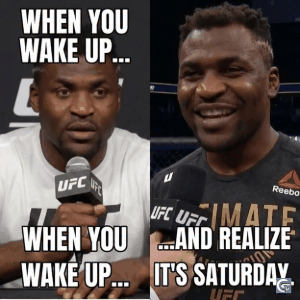 Francis Ngannou intense stare reaction meme GIF and funny MMA fighter images used for savage and powerful reactions online