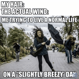 Funny windy meme GIF showing dramatic wind reaction perfect for reaction memes, profile pictures, and viral meme sharing