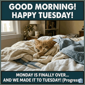 funny good tuesday meme template with relatable humor gif and hd image showing midweek struggle and motivation