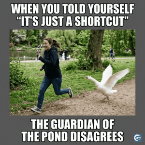 funny goose meme template with chaotic expression perfect for reaction memes gifs and hd images