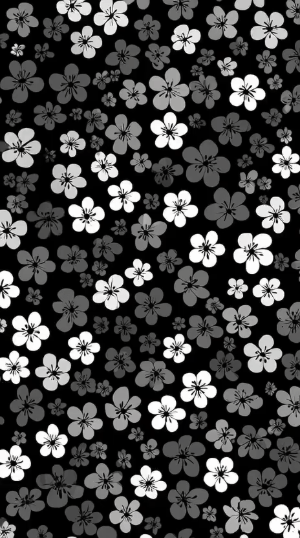 black and white live wallpaper 8k hd gifs with minimalist monochrome aesthetic and smooth motion visuals
