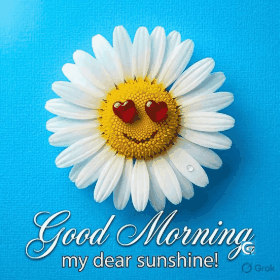 Charming good morning flower GIF with colorful blooming flowers and gentle morning rays for free download
