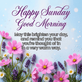 Happy Sunday good morning GIF and HD images featuring soft golden sunrise, peaceful nature scenes, blooming flowers, and warm coffee moments paired with inspiring quotes and free shareable messages full of positivity and blessings
